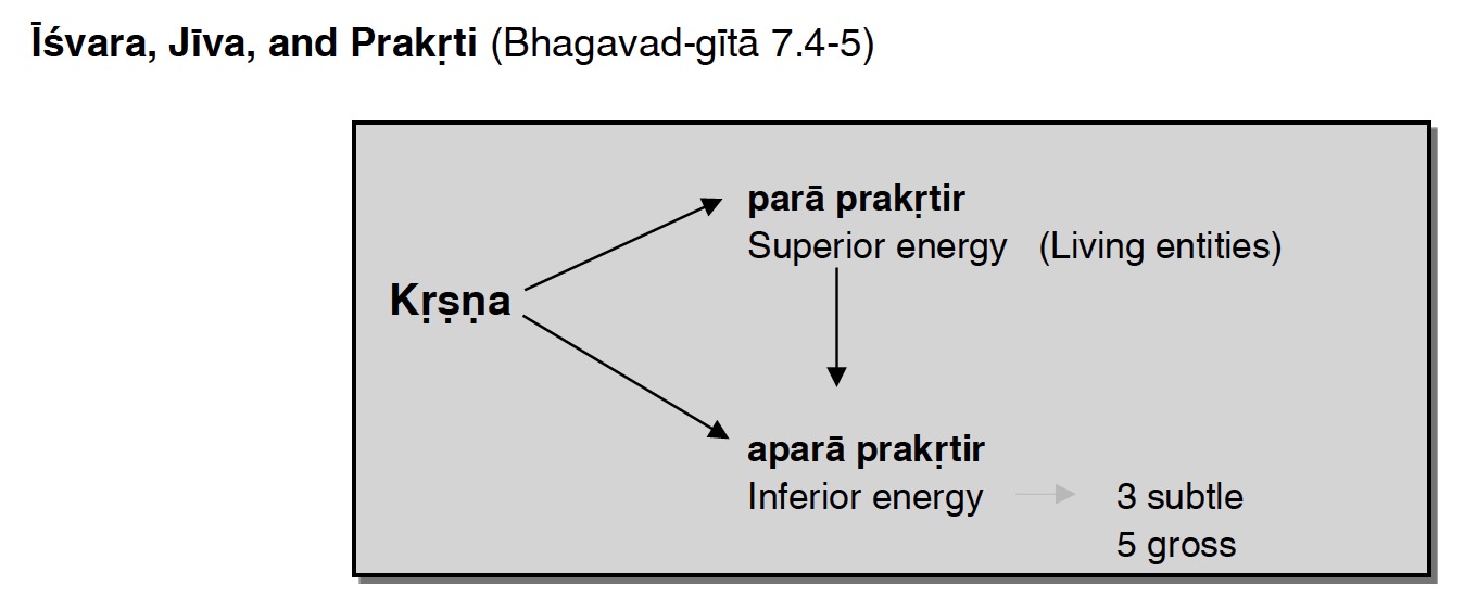 Screenshot 2025-07-03 at 3.02.00 PM.jpg